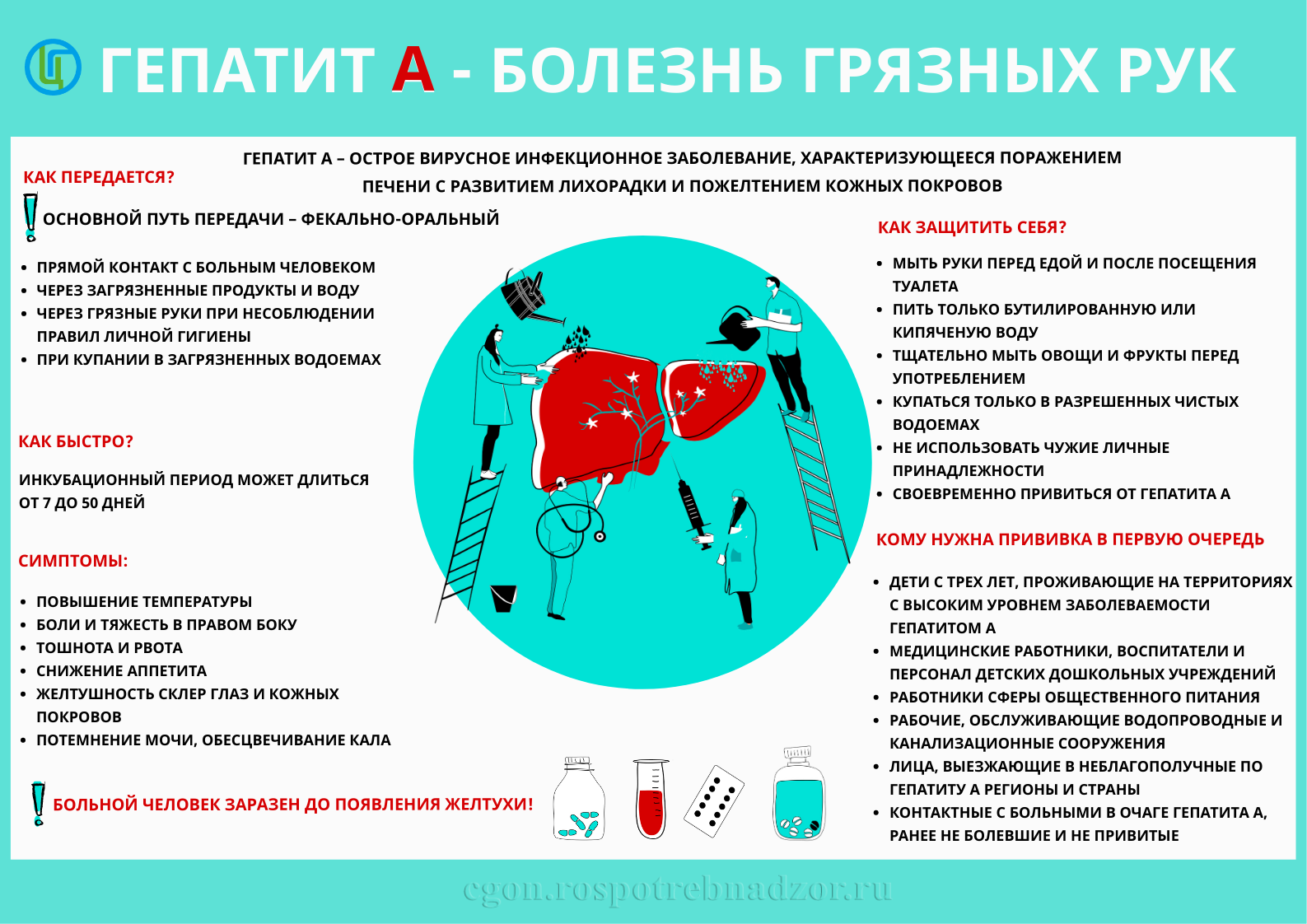 ВГА-инфографика.png